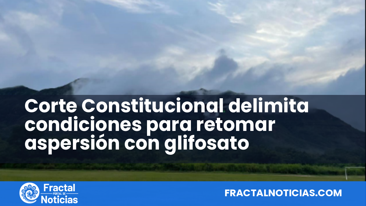 Corte Constitucional delimita condiciones para retomar aspersión con glifosato — Fractal Noticias