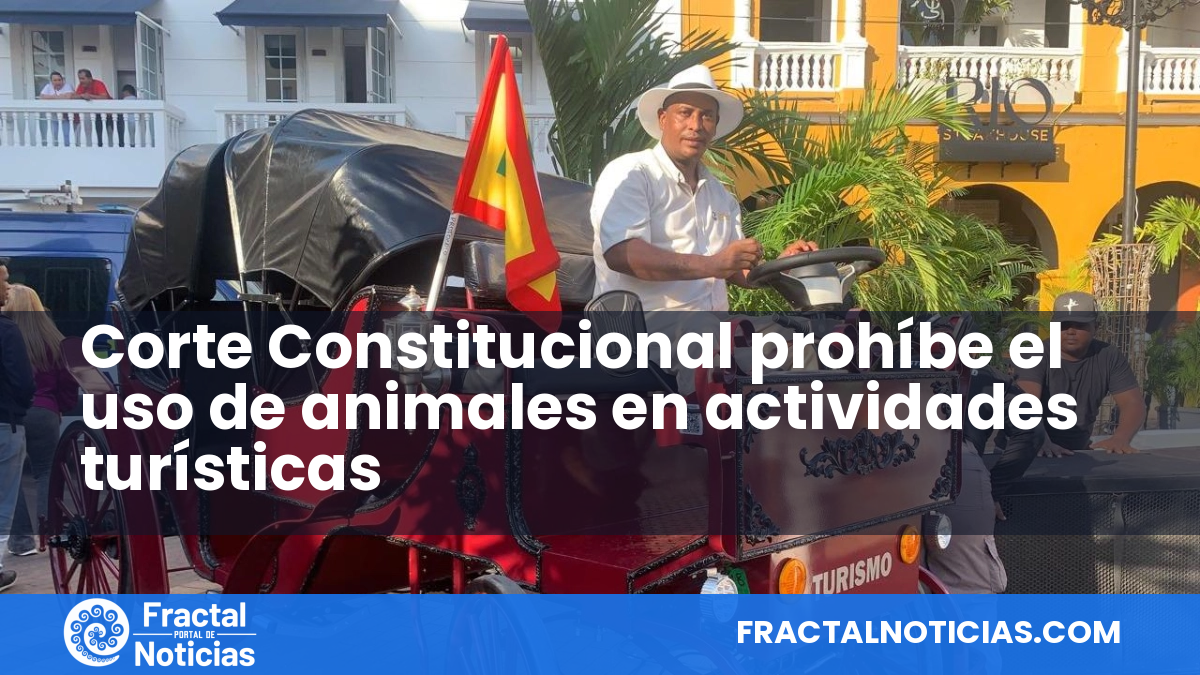 Corte Constitucional prohíbe el uso de animales en actividades turísticas — Fractal Noticias