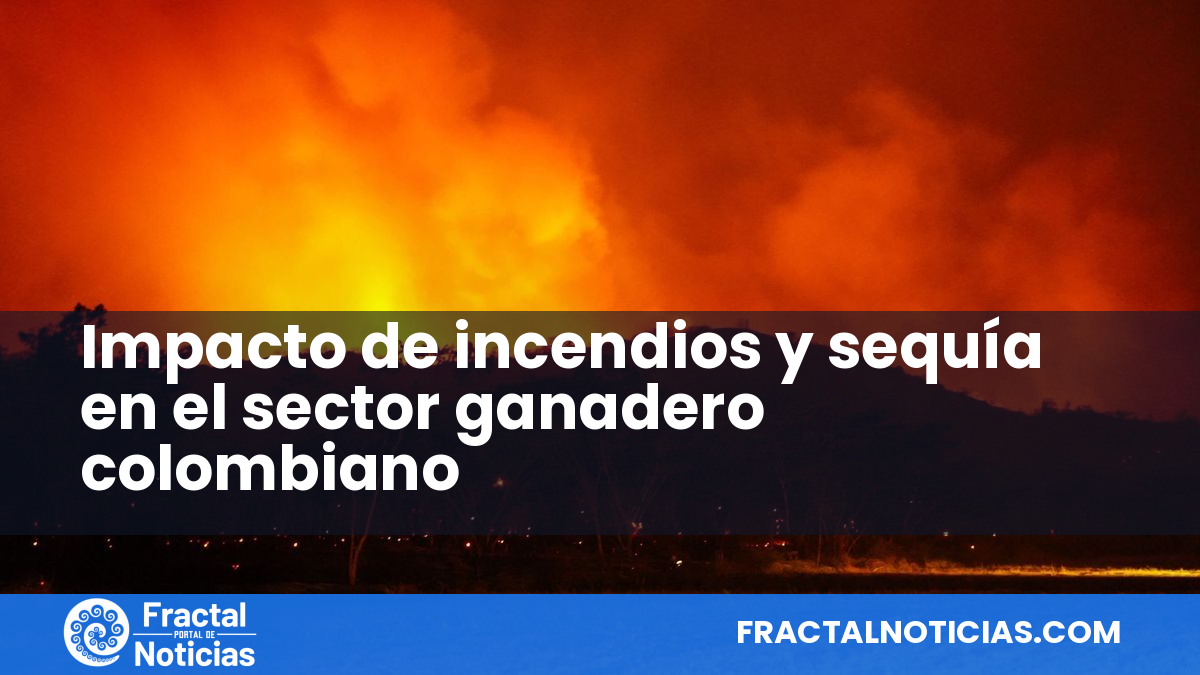 Impacto de incendios y sequía en el sector ganadero colombiano — Fractal Noticias