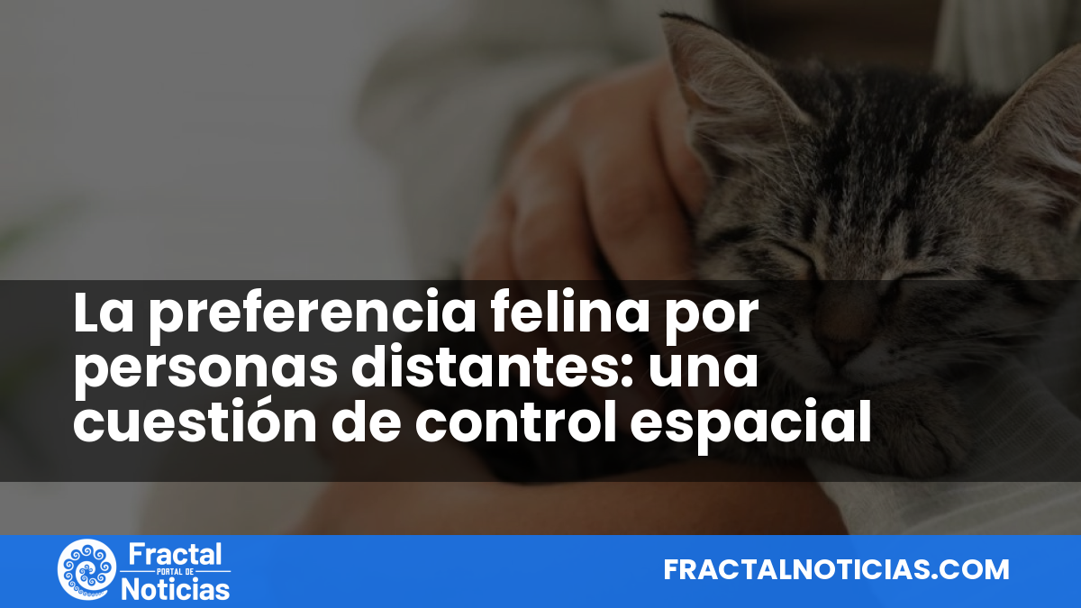 La preferencia felina por personas distantes: una cuestión de control espacial — Fractal Noticias