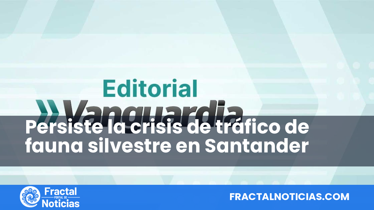 Persiste la crisis de tráfico de fauna silvestre en Santander — Fractal Noticias