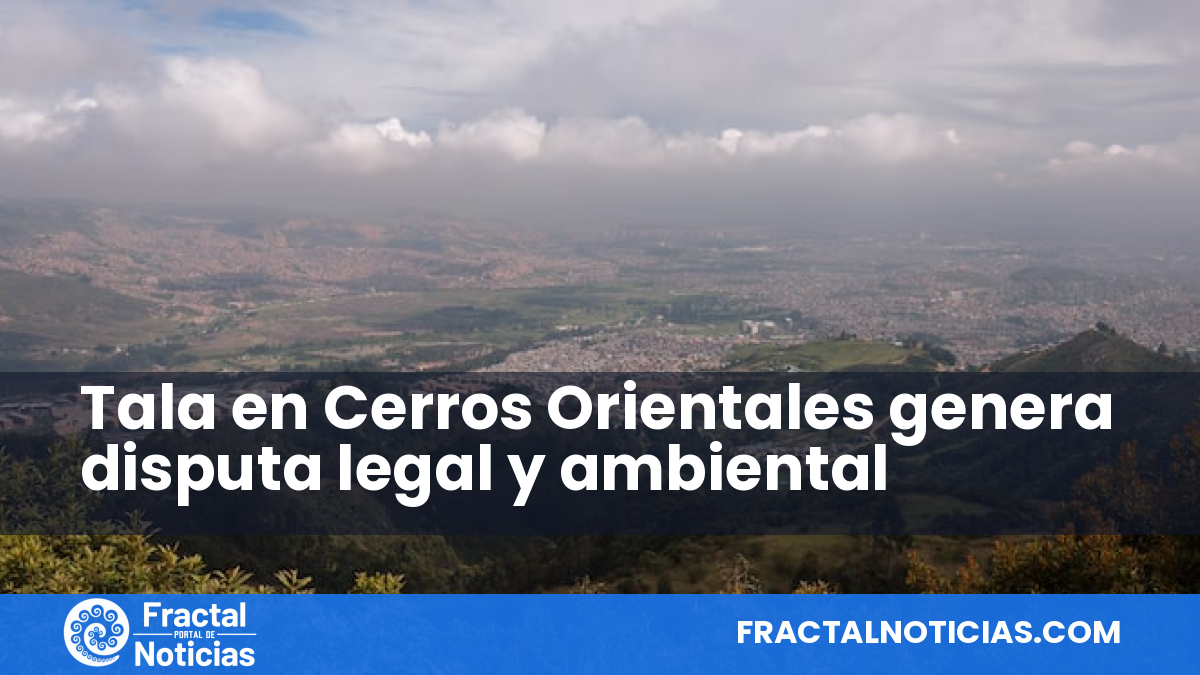 Tala en Cerros Orientales genera disputa legal y ambiental — Fractal Noticias