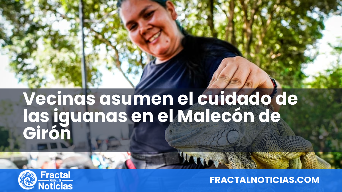Vecinas asumen el cuidado de las iguanas en el Malecón de Girón — Fractal Noticias